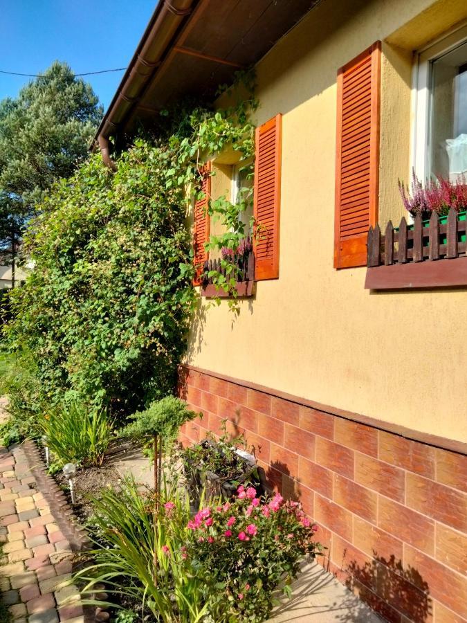 Sloneczny Apartament Duszniki Zdrój 外观 照片